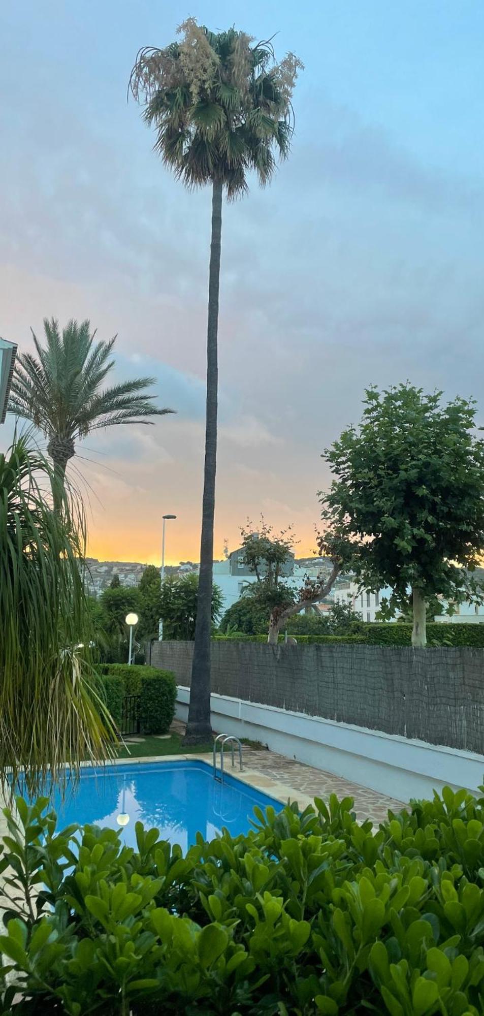 Casa Ole Apartment Jávea Екстериор снимка